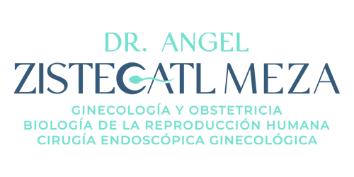 logo_drangelzm_movil